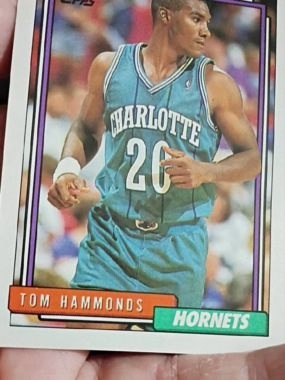 Topps Tom Hammonds Hornets Basketball Card - Teal, White